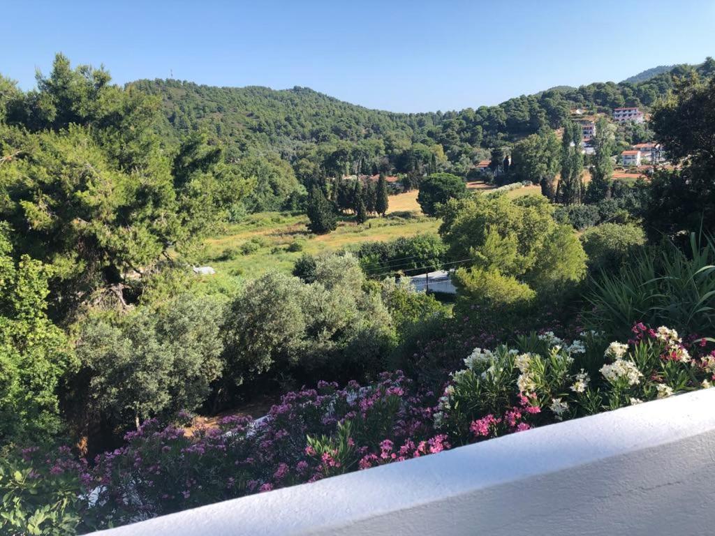 Villa Elpiniki