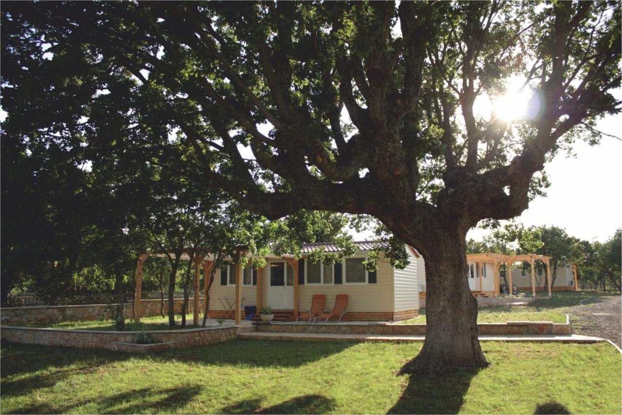 Village Zrmanja