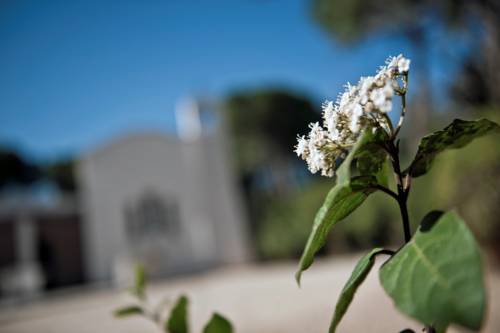 Agriturismo Tenuta La Muratella