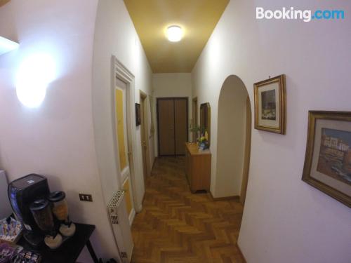 Daffodil In Roma San Pietro