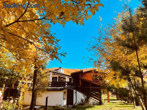 Pensiunea Alpin Life