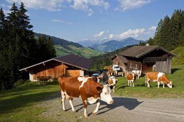 Bauernhof Fuchsbauer