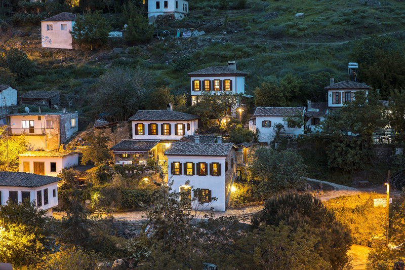 Terrace Houses Sirince Fig, Olive & Grapevine