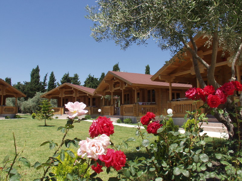 Sandy's Studios & Log-villas