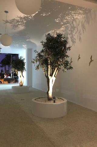 Abacus Suites Boutique Hotel