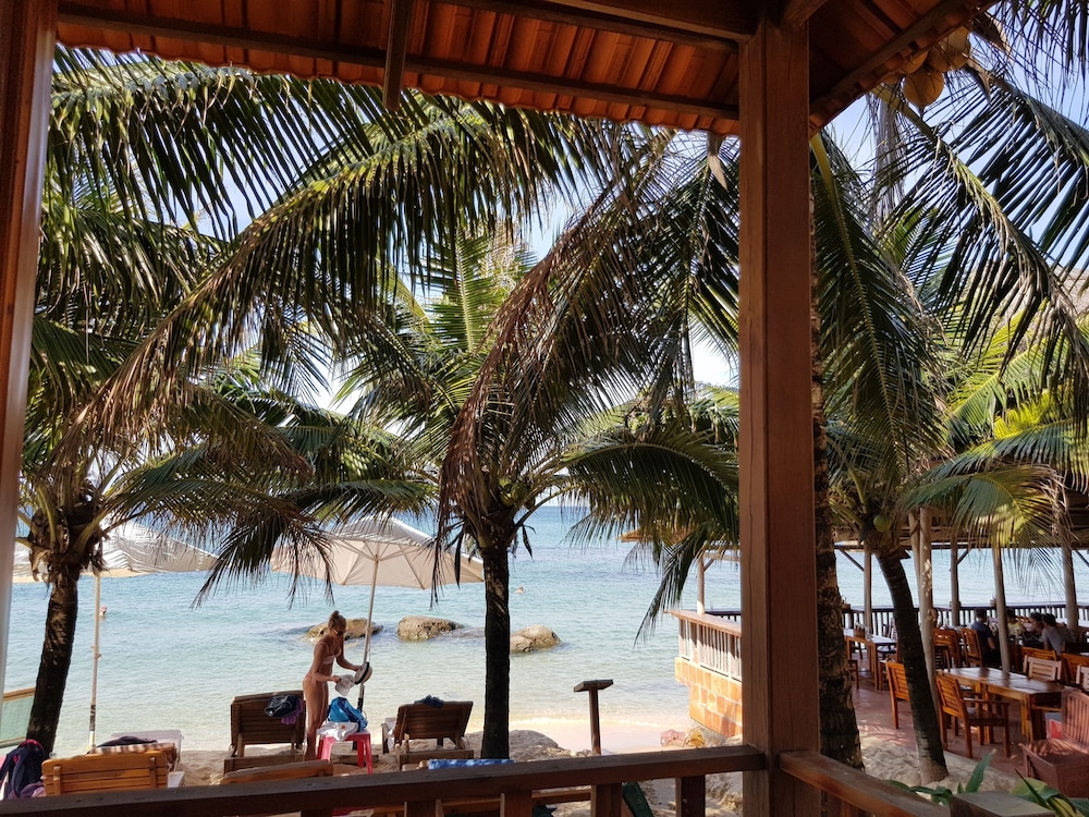 Free Beach Resort