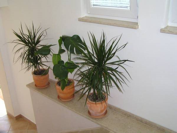 Apartments Oaza Regi