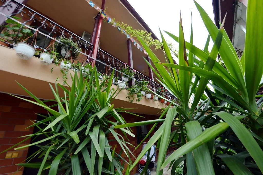 Pensiunea Pluto Sulina