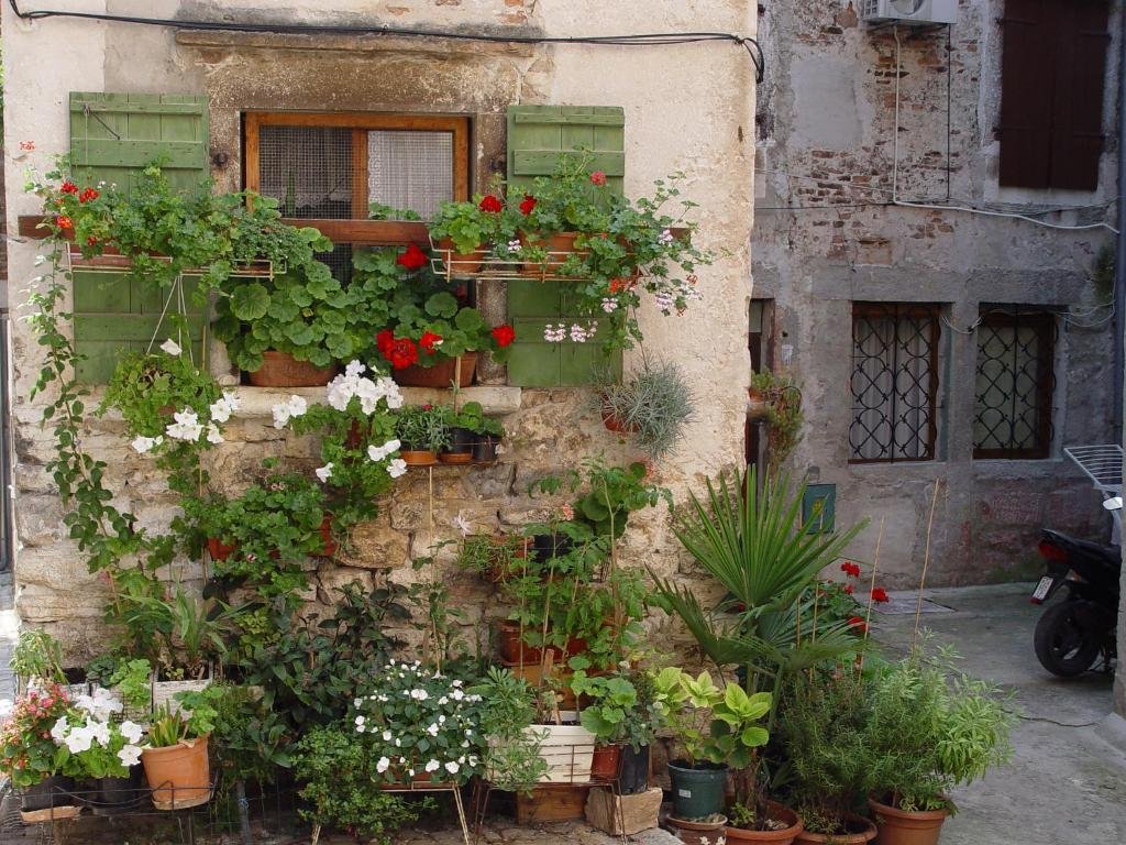 Apartments Villa Rosa