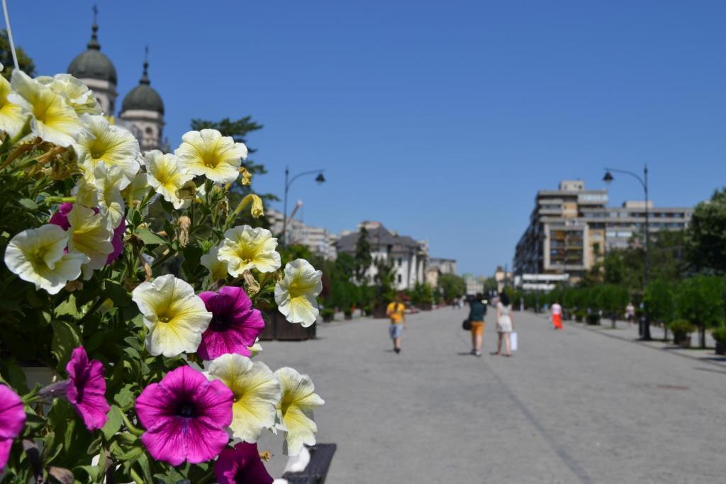 Casa de Oaspeti Sfantul Nicolae