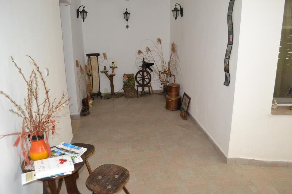 Casa de Oaspeti Dunarea La Cazane