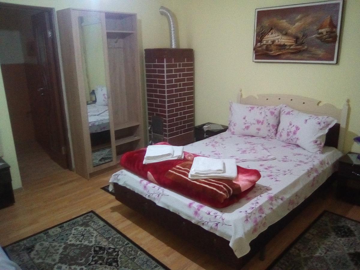 Casa de Vacanta Puiu