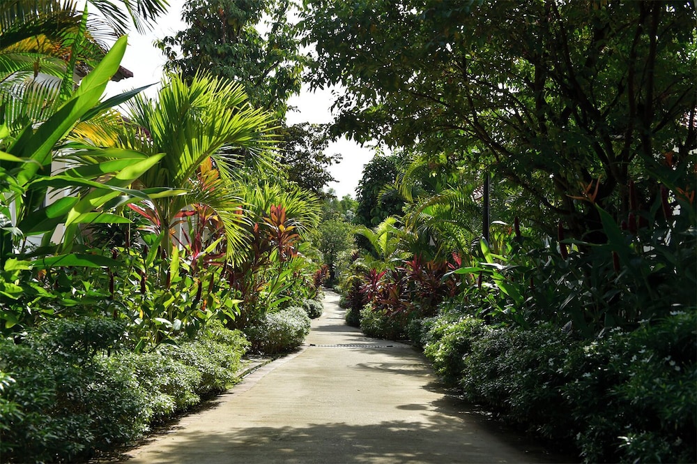 Rainforest Resort