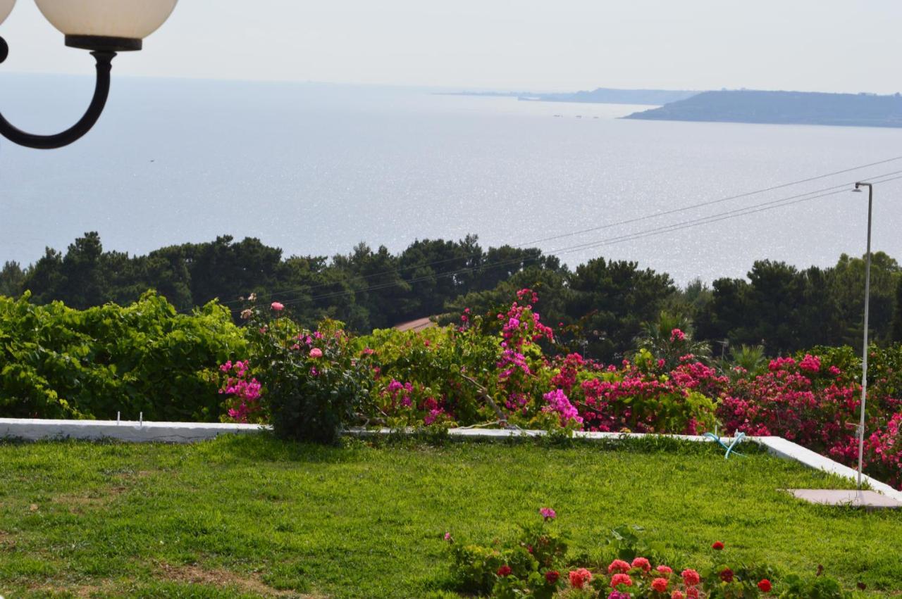 Mediterranean Studios