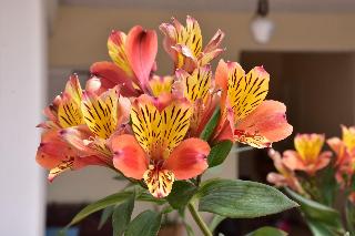 Galotel Agnoudas Near The Airport