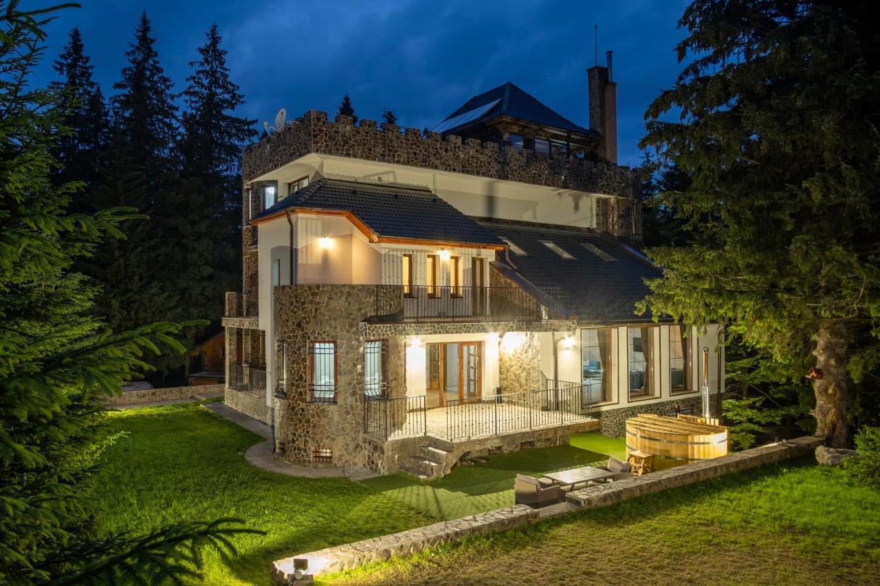 Castelul de Piatra