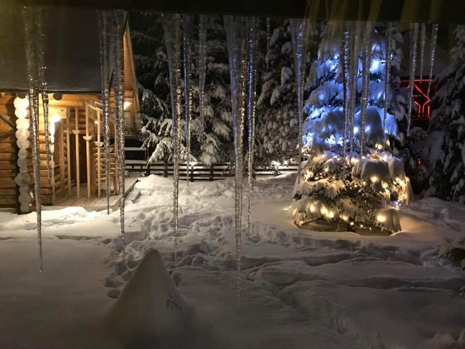 Cabana Vila Crinul Poiana Brasov