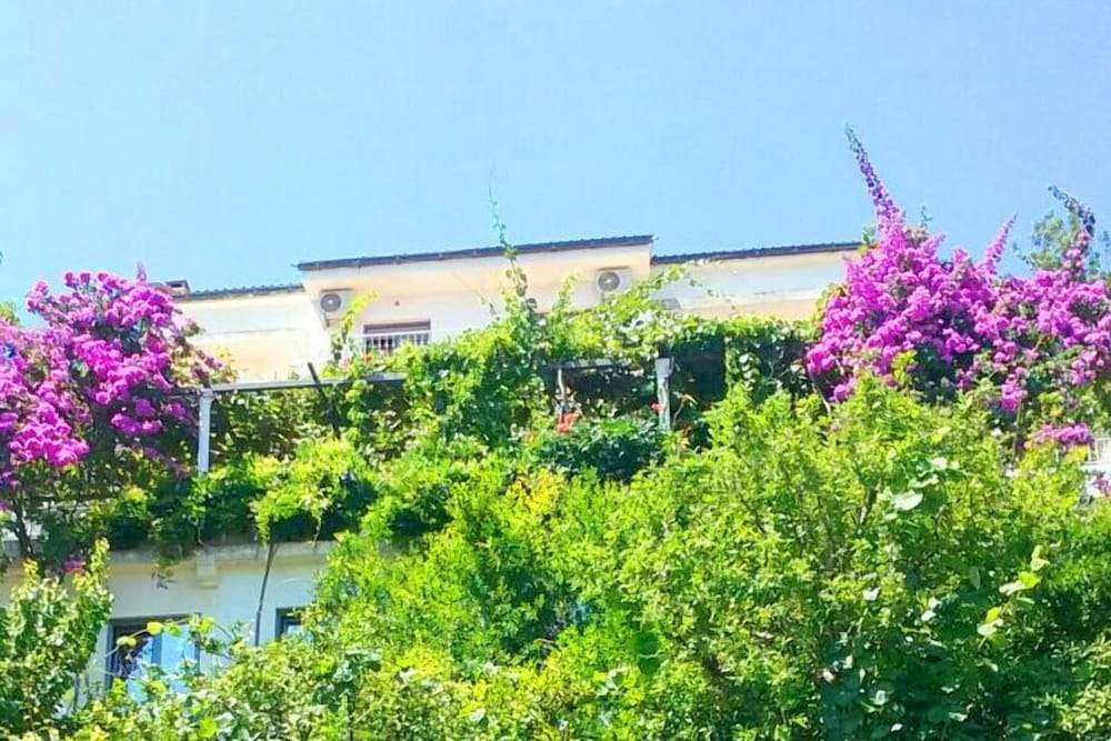 Guest House Madra