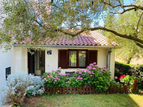 Apartments Vesna 1075