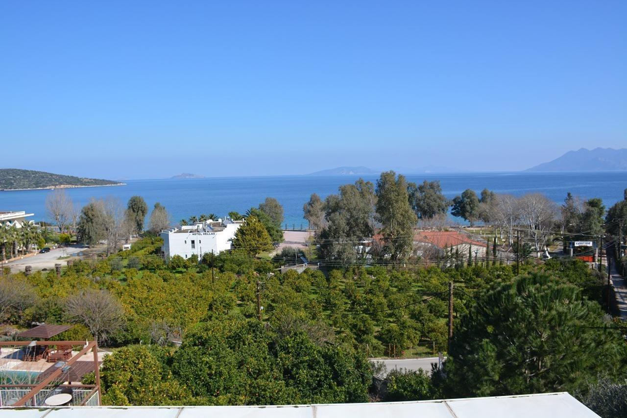 Aristotelis