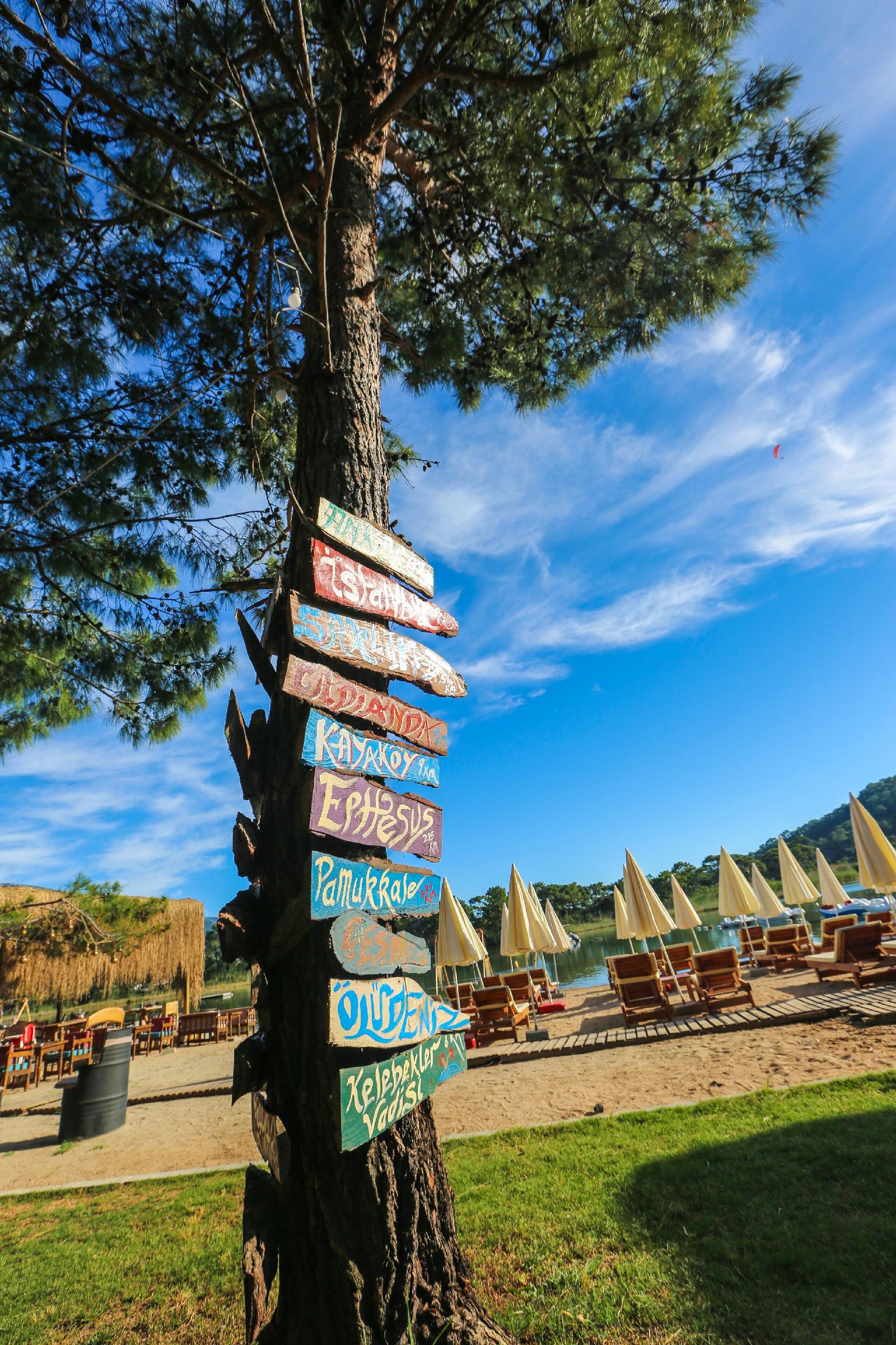 Green Pine Beach