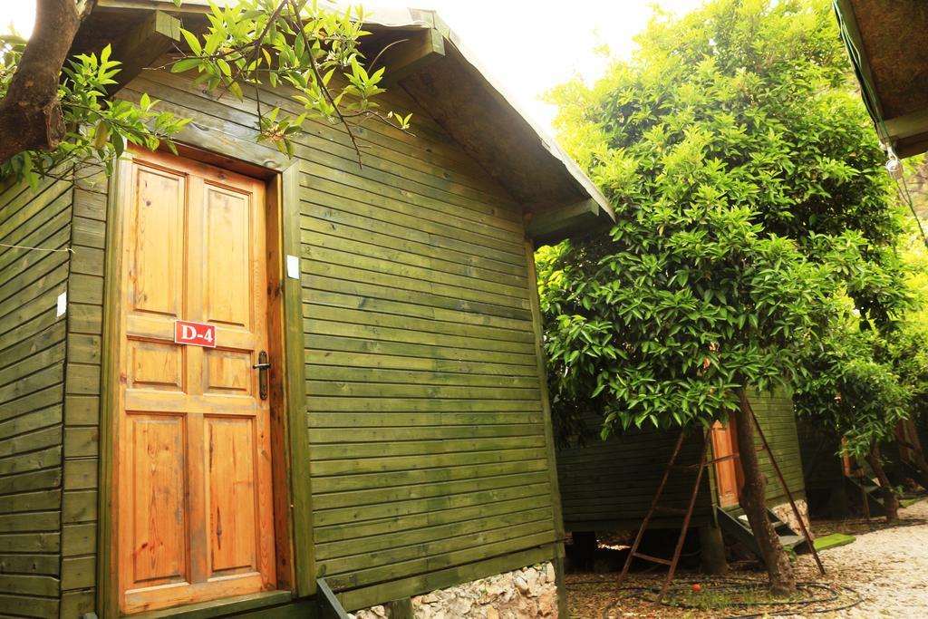 Olimpos Zeytin Pansiyon