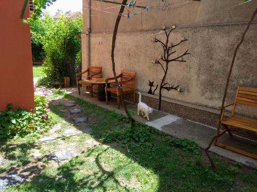 Guest House Sunflowers