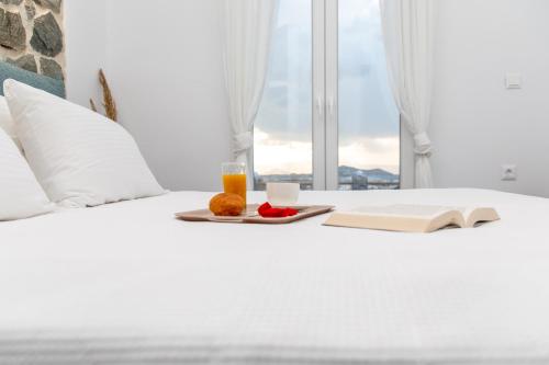 Pleiades Villas Naxos