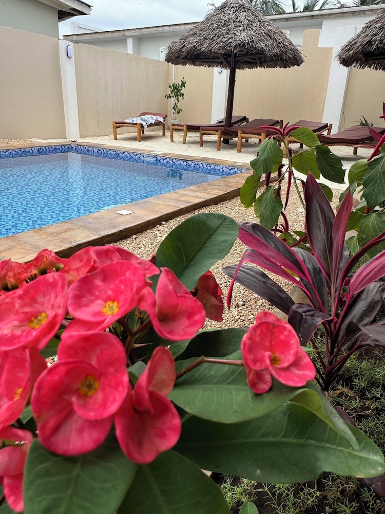 Villa Peace And Color