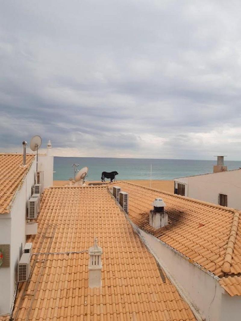 Edificio Sequeira By Portugalferias