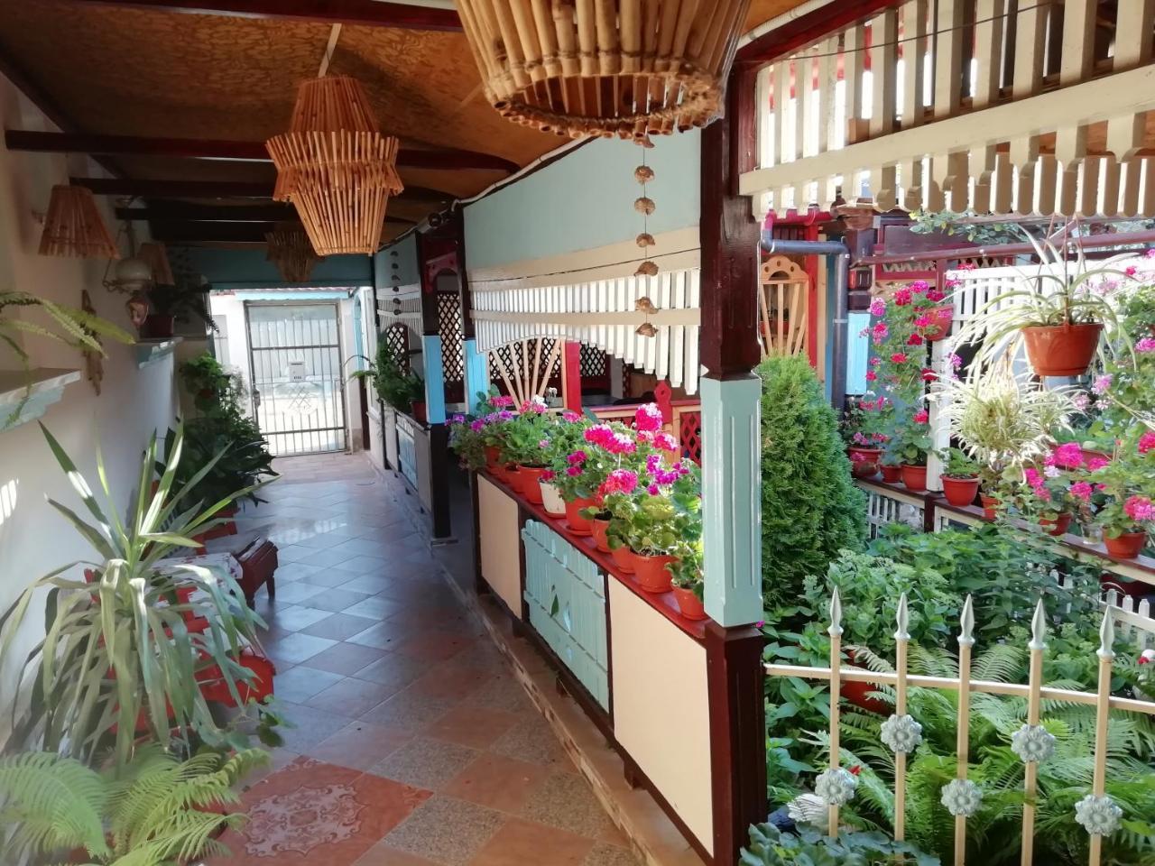 Casa de Vacanta Puiu